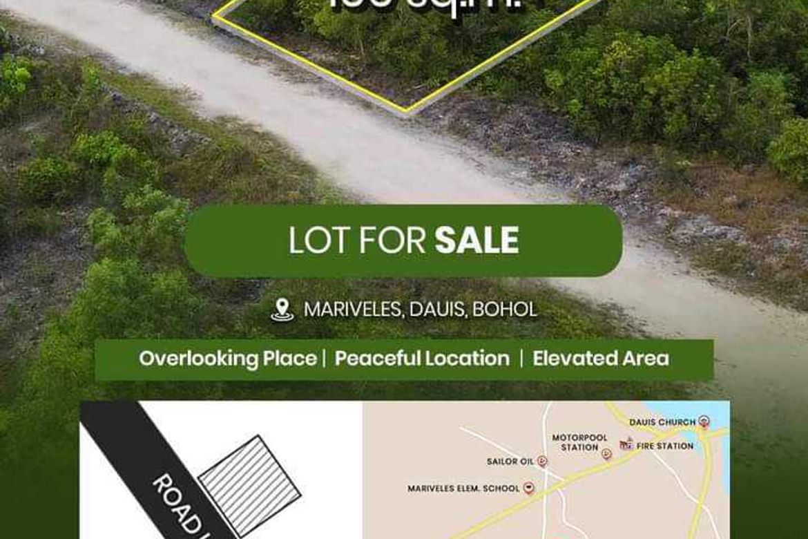 Land for Sale in Mariveles, Dauis, Bohol – photo 2