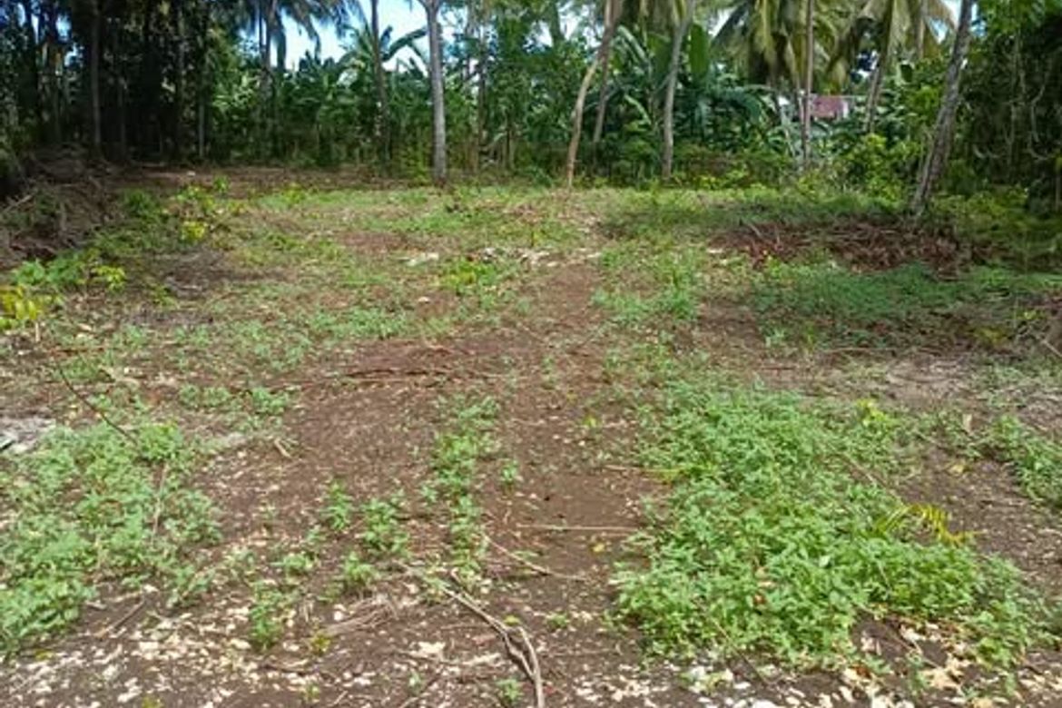 Land for Sale in Mariveles, Dauis, Bohol