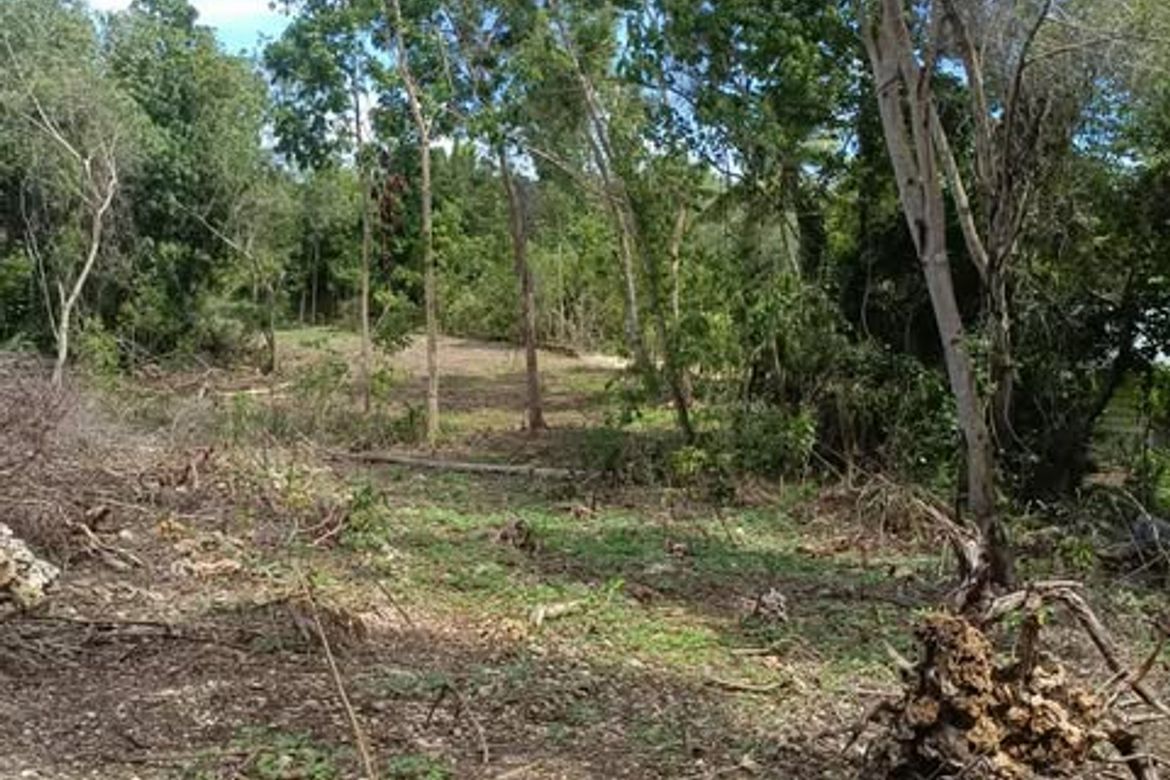 Land for Sale in Mariveles, Dauis, Bohol – photo 3