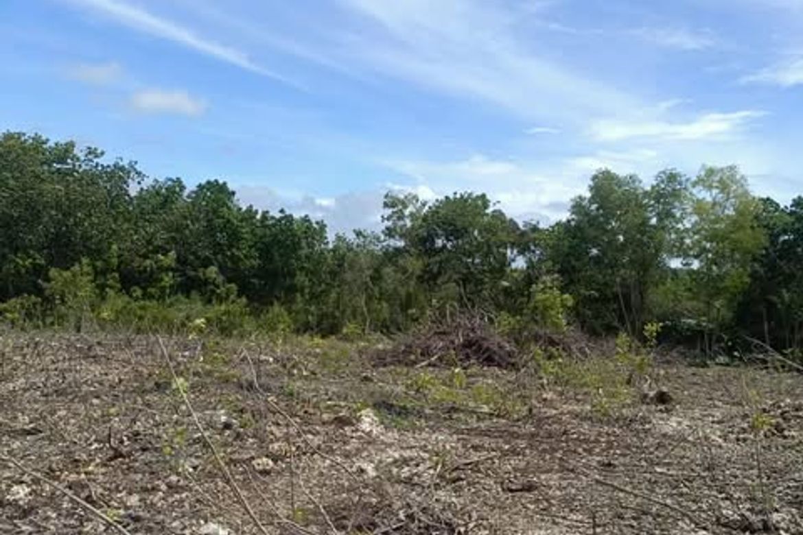 Land for Sale in Mariveles, Dauis, Bohol – photo 4