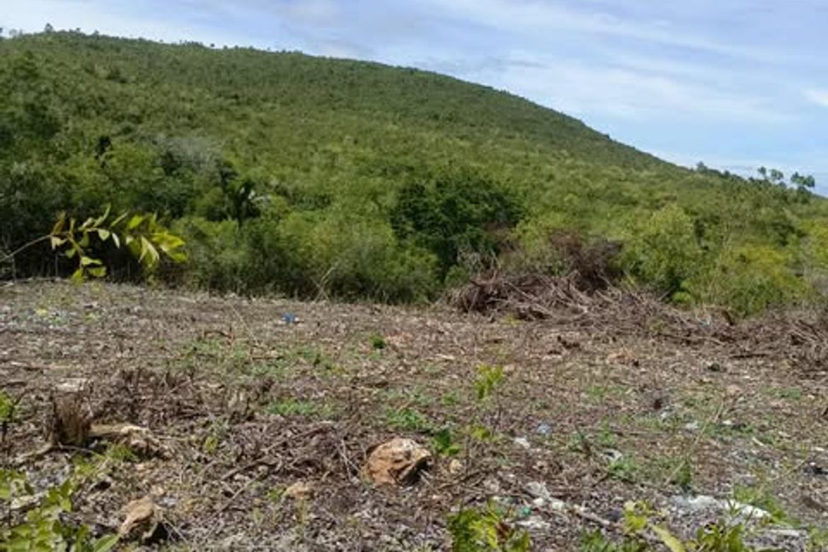 Land for Sale in Mariveles, Dauis, Bohol – photo 7