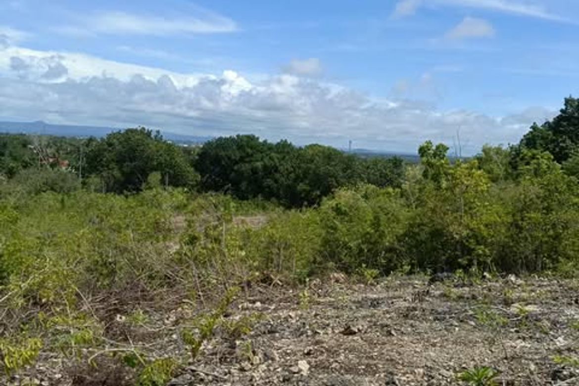 Land for Sale in Mariveles, Dauis, Bohol – photo 8