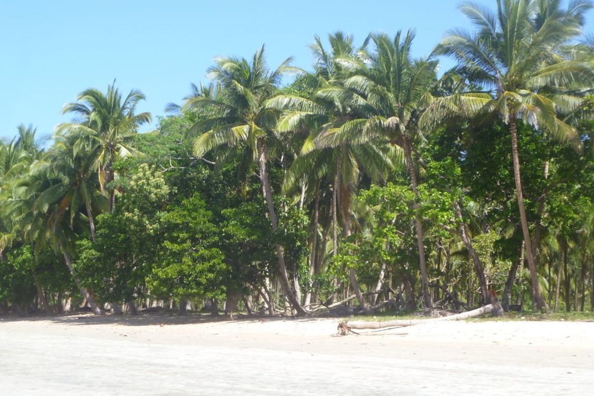 Land for Sale in Marufinas, Puerto Princesa, Palawan – photo 2