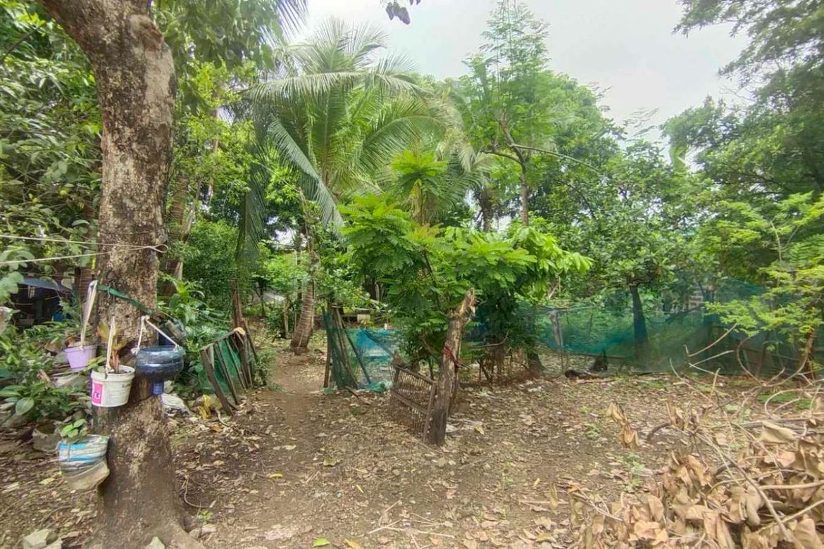 Land for Sale in Marulas, Valenzuela, Metro Manila – photo 3