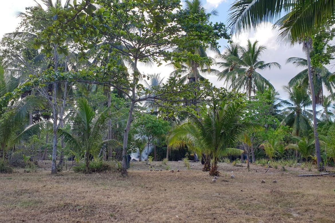 Land for Sale in Maruyogon, Puerto Princesa, Palawan – photo 3