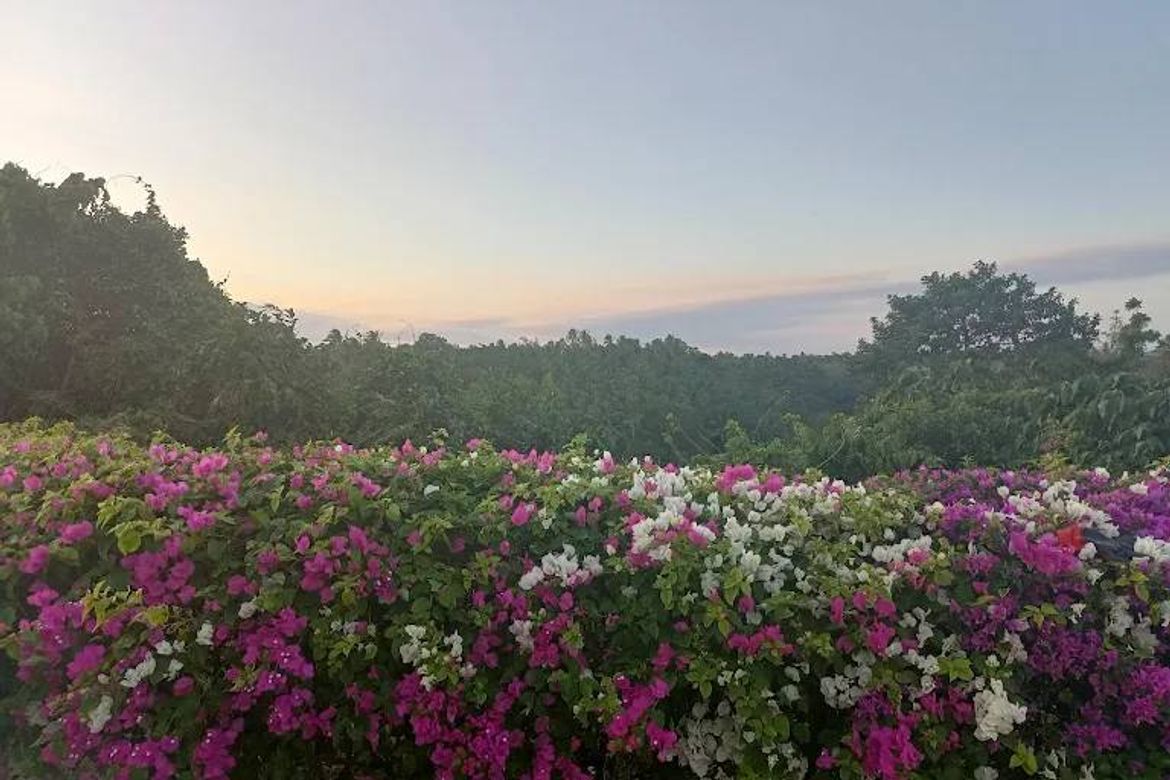 Land for Sale in Masalisi, Lemery, Batangas – photo 3