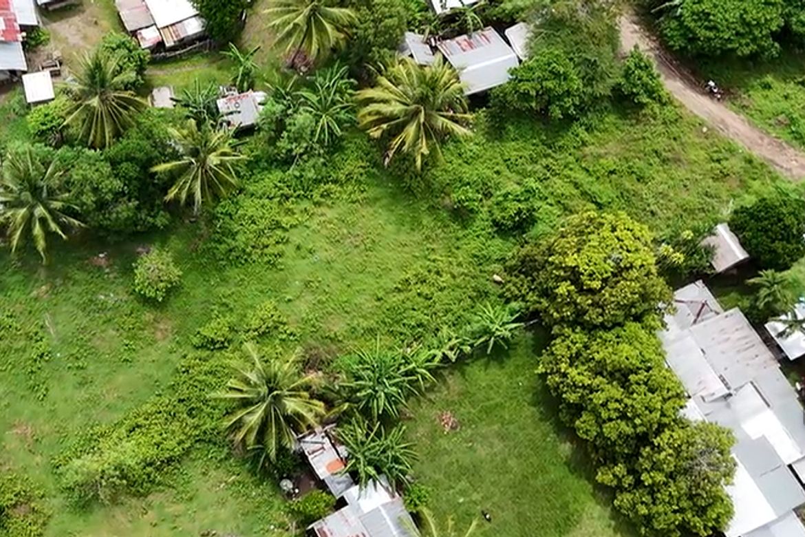 Land for Sale in Masaplod Norte, Dauin, Negros Oriental