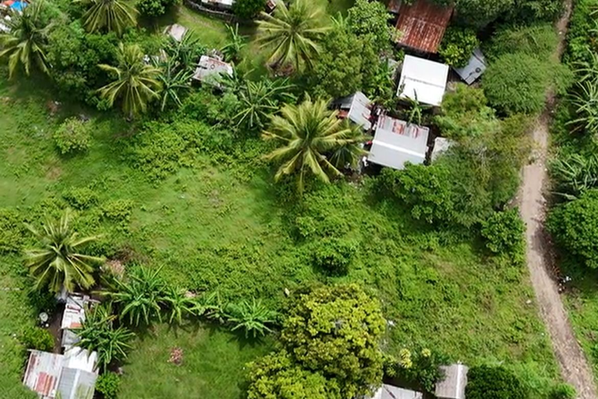 Land for Sale in Masaplod Norte, Dauin, Negros Oriental – photo 2