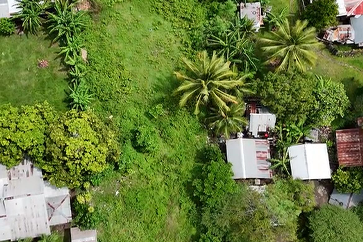 Land for Sale in Masaplod Norte, Dauin, Negros Oriental – photo 3