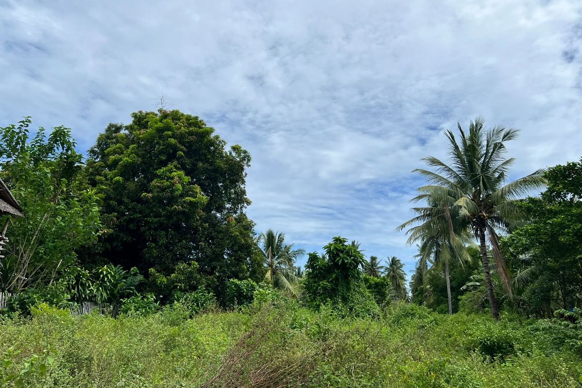 Land for Sale in Masaplod Norte, Dauin, Negros Oriental – photo 8