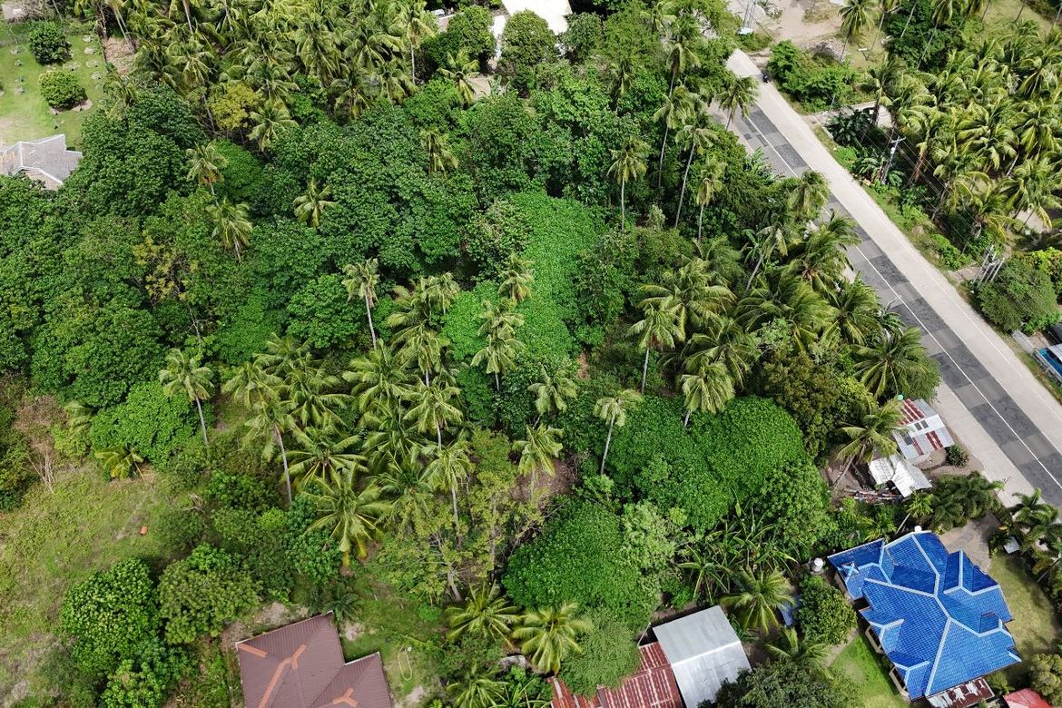 Land for Sale in Masaplod Norte, Dauin, Negros Oriental