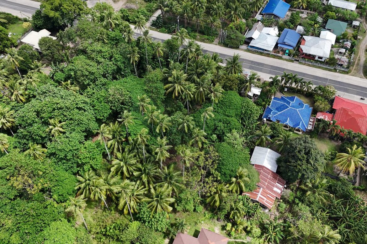 Land for Sale in Masaplod Norte, Dauin, Negros Oriental – photo 5