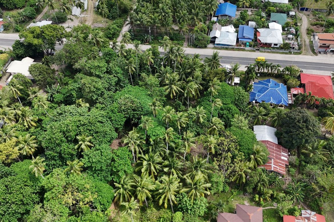 Land for Sale in Masaplod Norte, Dauin, Negros Oriental – photo 6