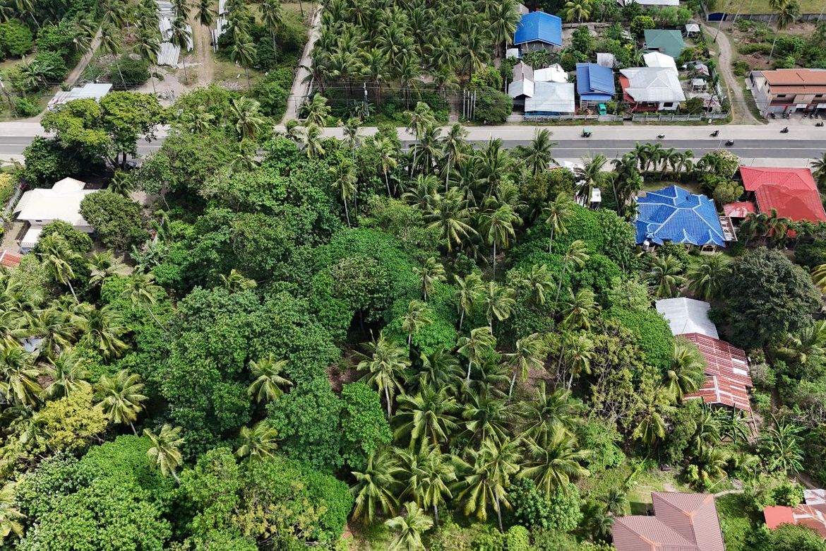 Land for Sale in Masaplod Norte, Dauin, Negros Oriental – photo 7