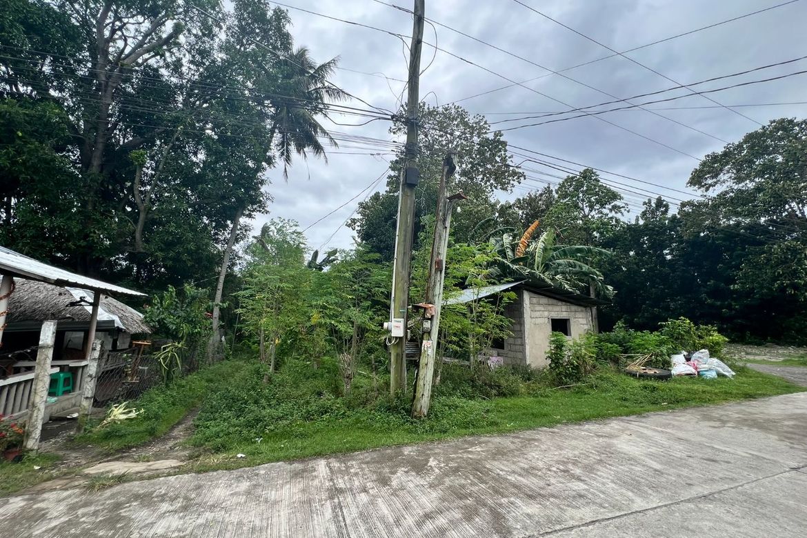 Land for Sale in Masaplod Norte, Dauin, Negros Oriental