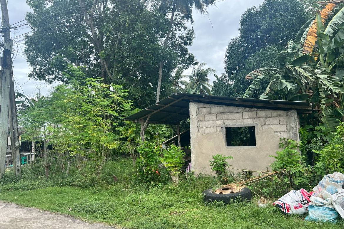Land for Sale in Masaplod Norte, Dauin, Negros Oriental – photo 2