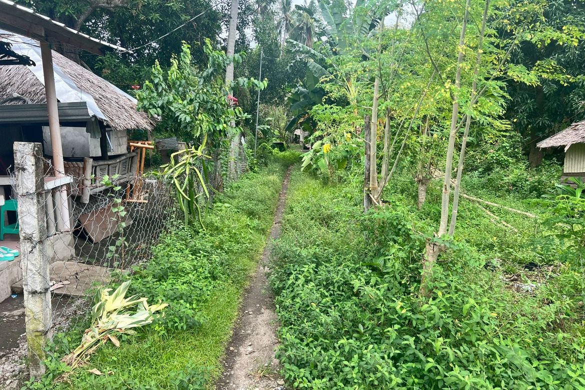 Land for Sale in Masaplod Norte, Dauin, Negros Oriental – photo 4