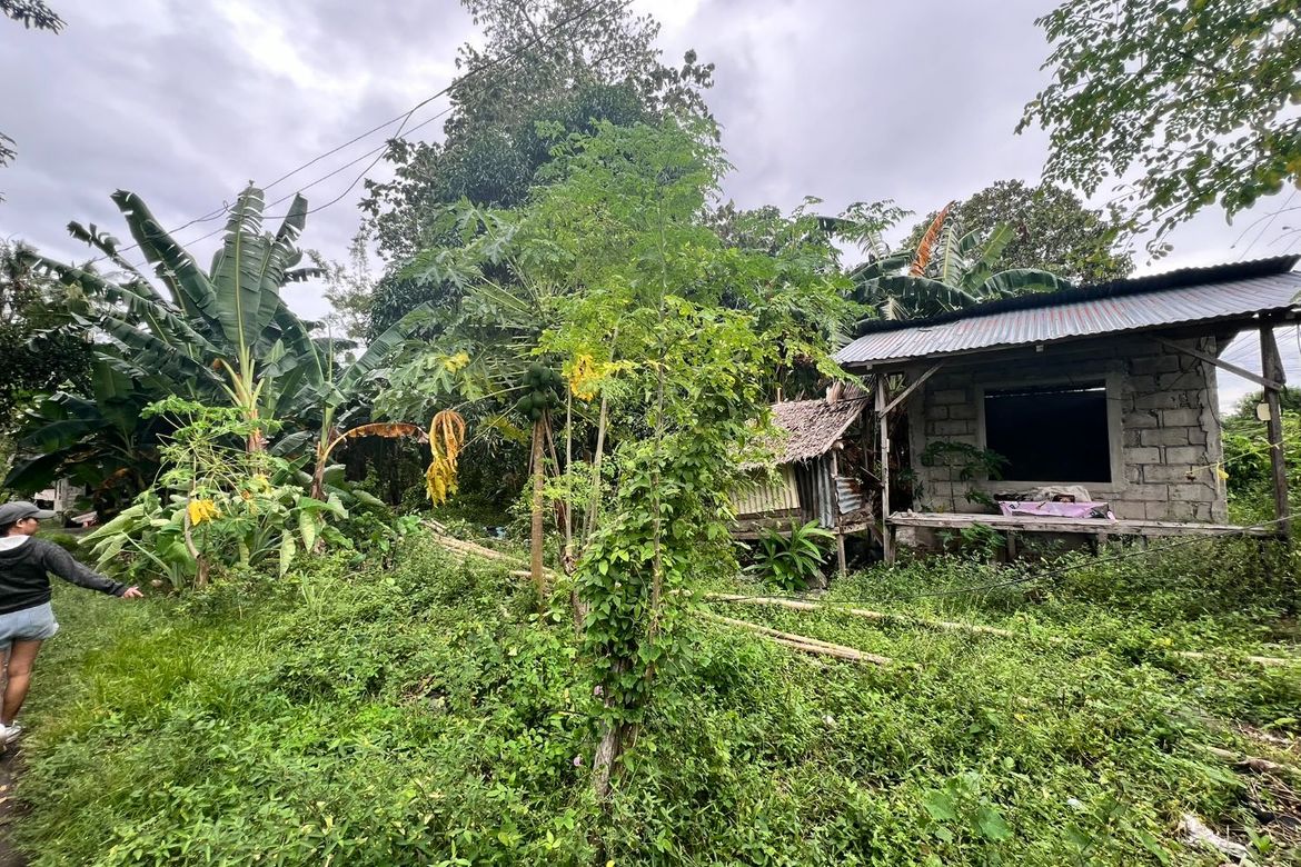 Land for Sale in Masaplod Norte, Dauin, Negros Oriental – photo 8
