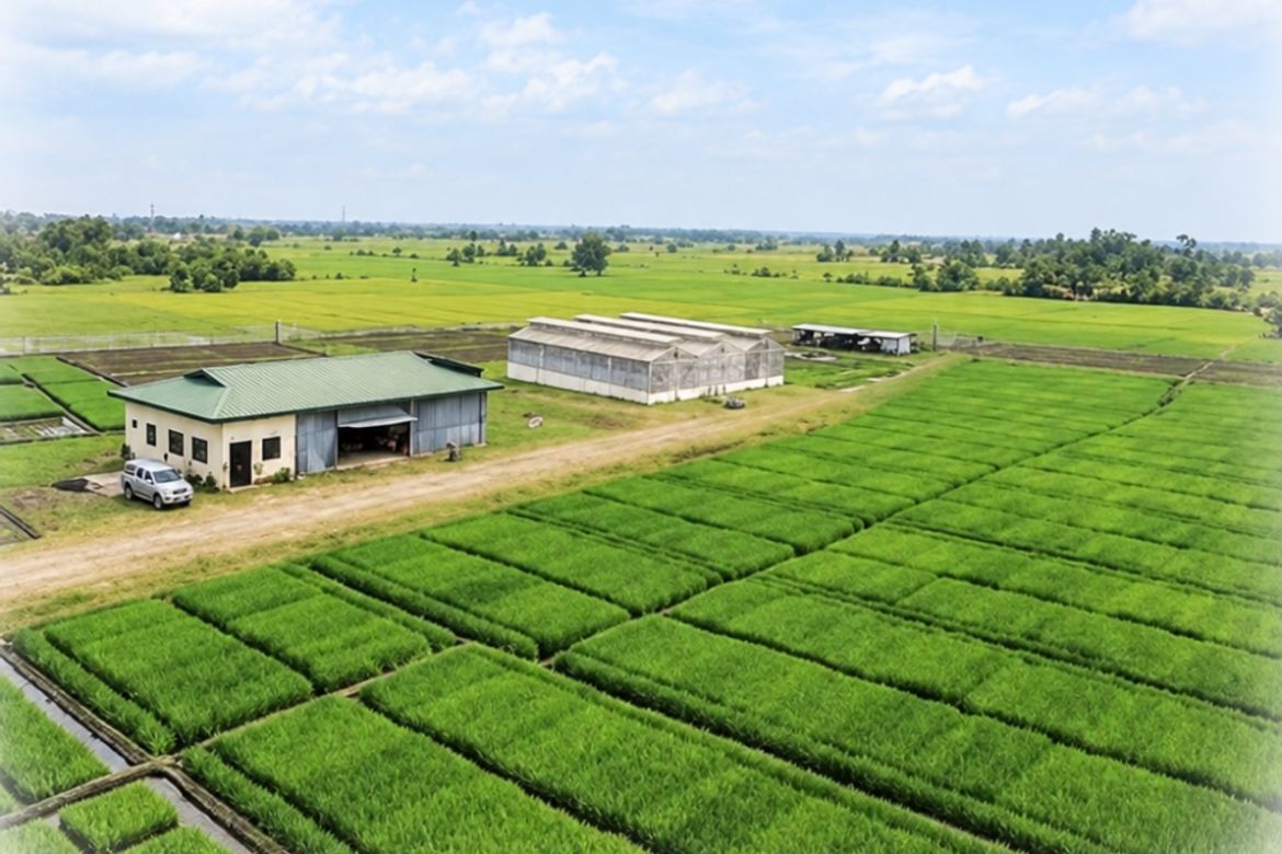 Land for Sale in Masiit, Calauan, Laguna