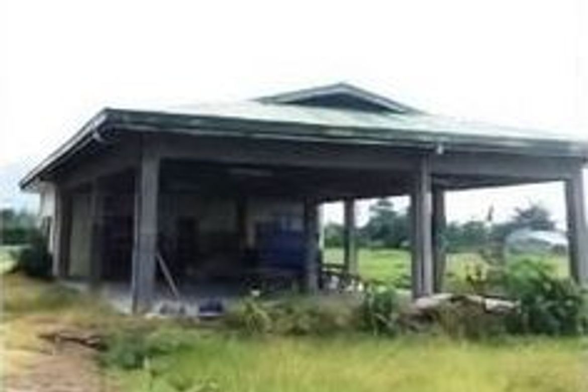 Land for Sale in Masiit, Calauan, Laguna – photo 4