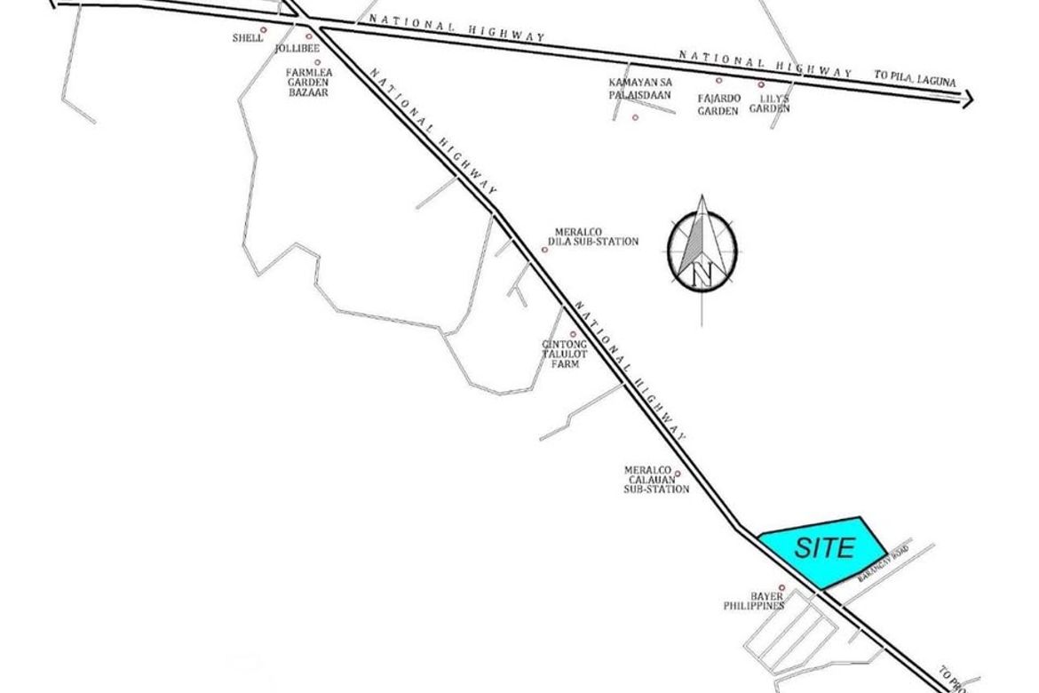 Land for Sale in Masiit, Calauan, Laguna – photo 5