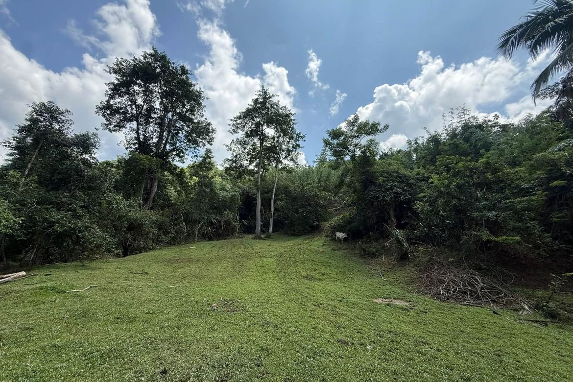 Land for Sale in Masiit, Calauan, Laguna – photo 3