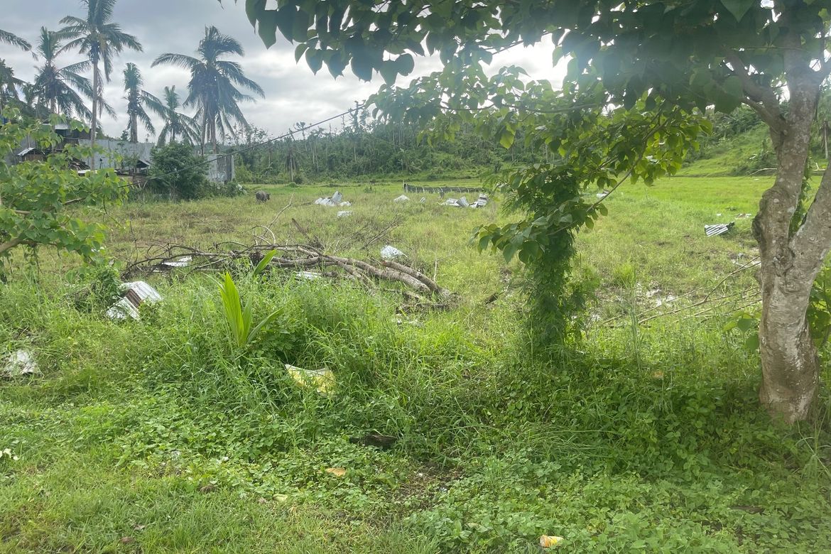 Land for Sale in Maslog, Tomas Oppus, Southern Leyte – photo 4