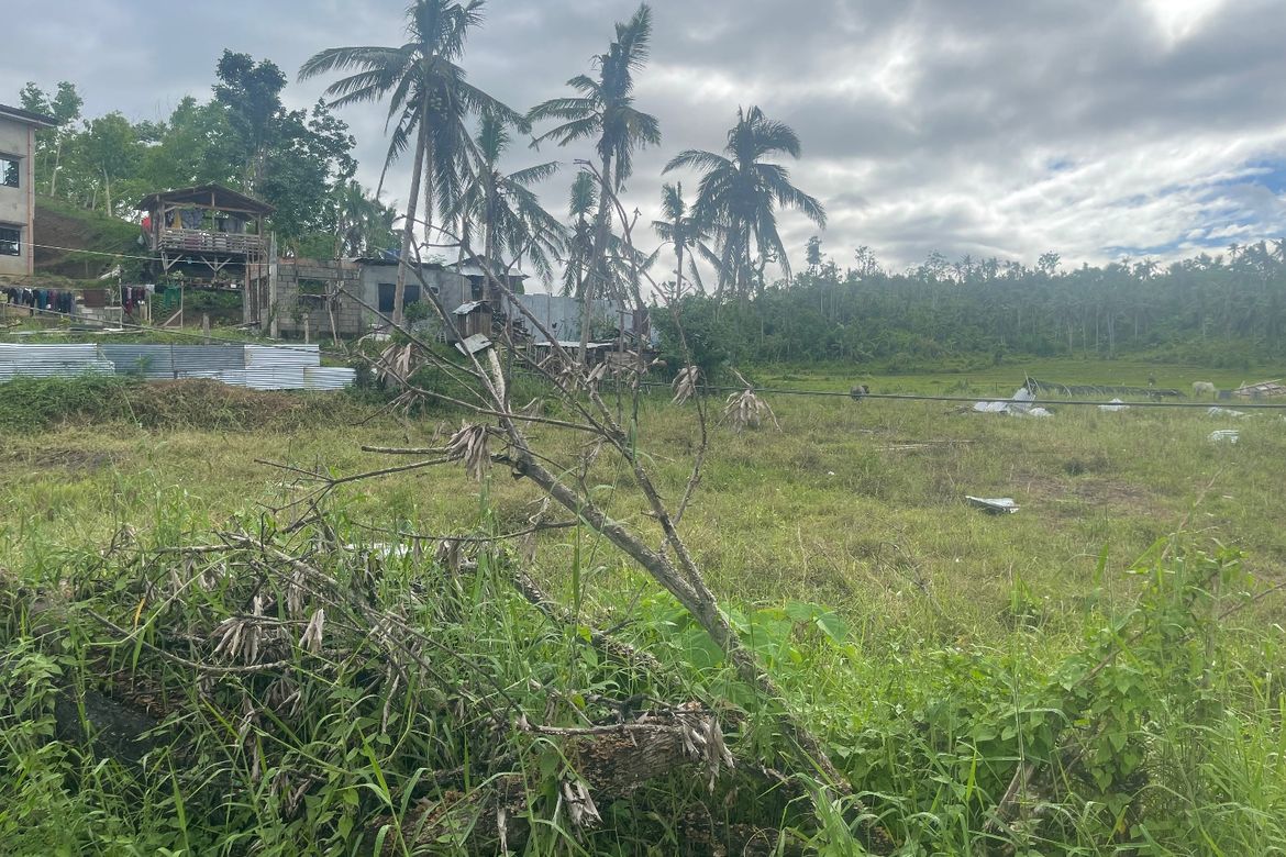 Land for Sale in Maslog, Tomas Oppus, Southern Leyte – photo 5