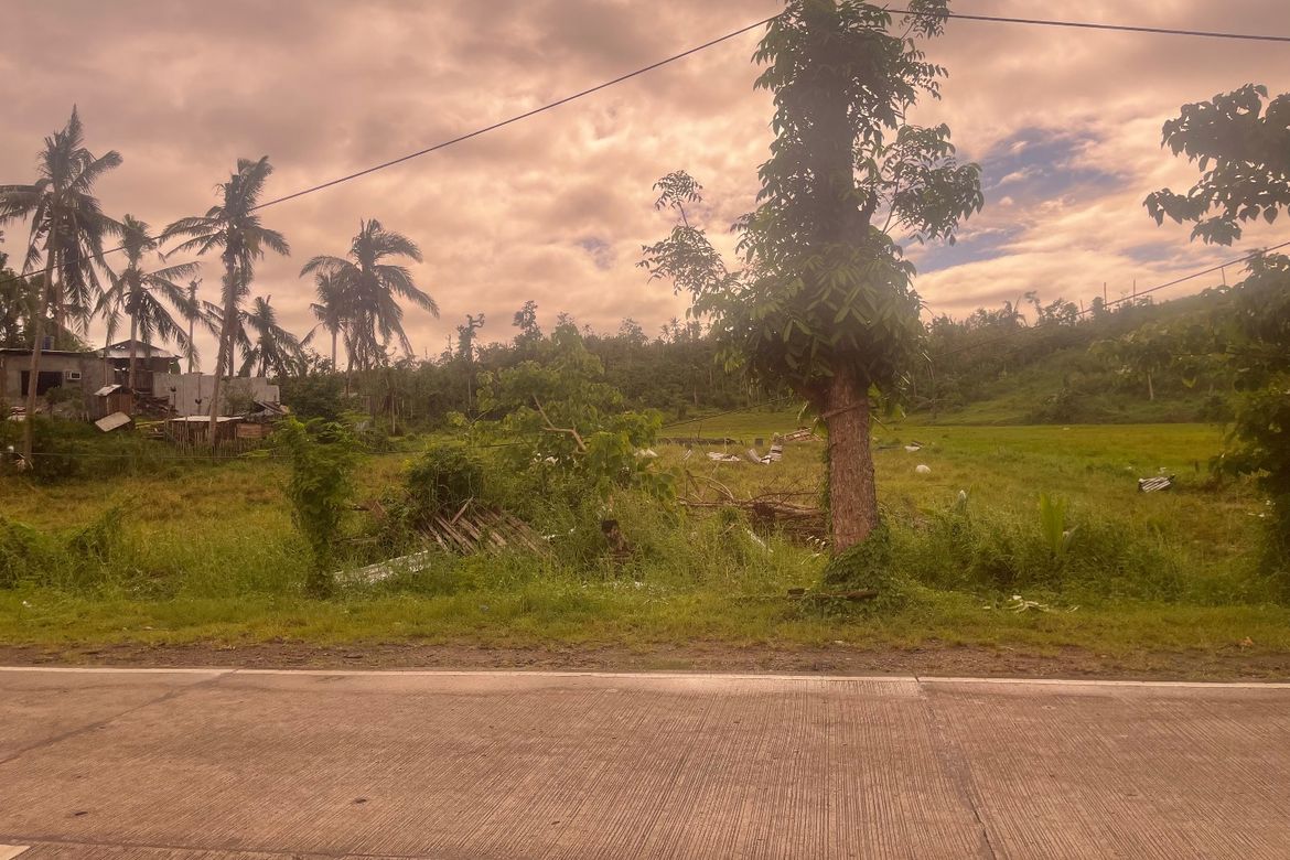 Land for Sale in Maslog, Tomas Oppus, Southern Leyte – photo 6