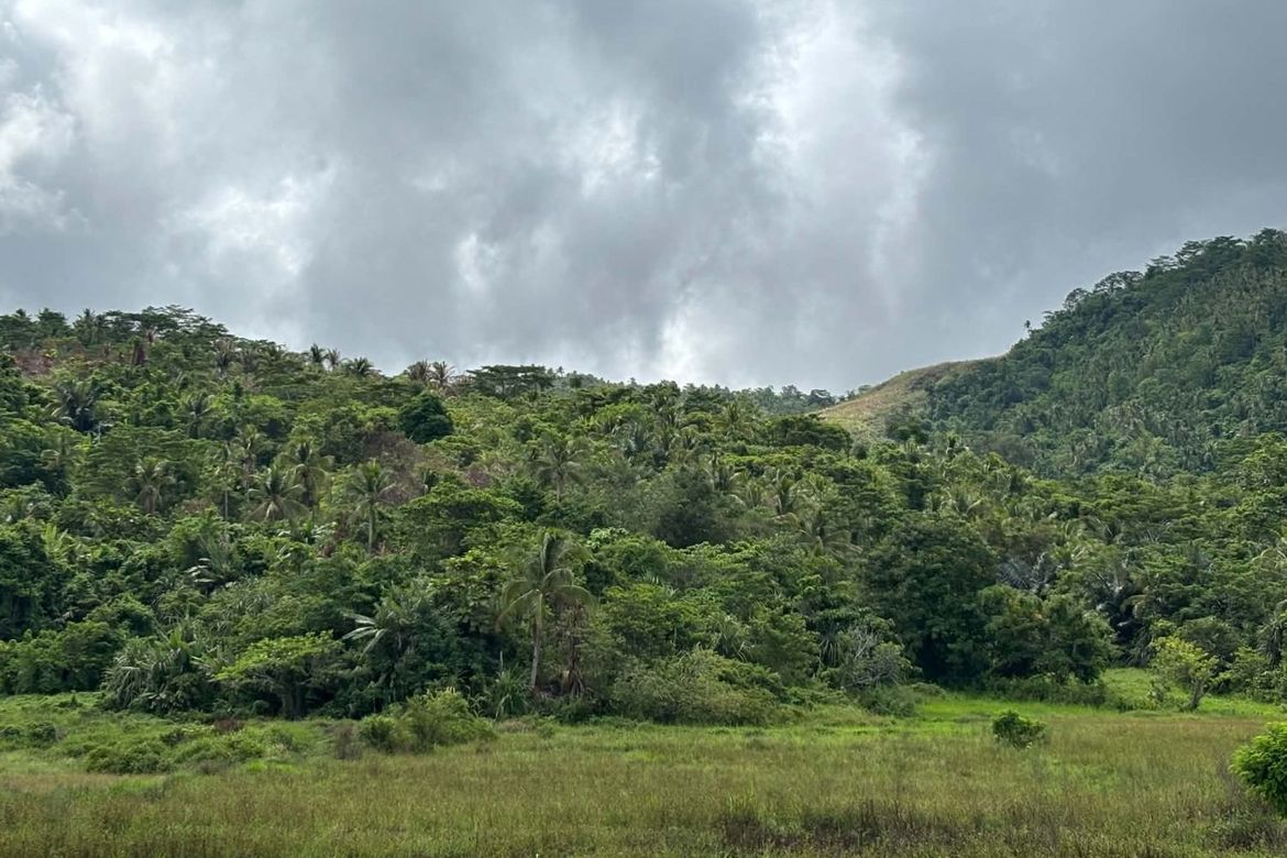Land for Sale in Mat-I, Surigao City, Surigao del Norte – photo 2