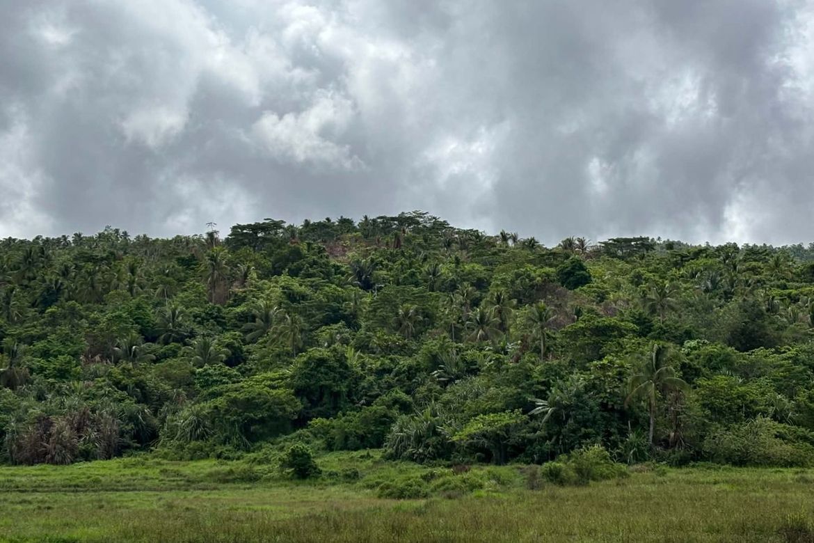 Land for Sale in Mat-I, Surigao City, Surigao del Norte – photo 5
