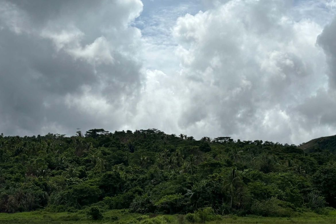 Land for Sale in Mat-I, Surigao City, Surigao del Norte – photo 6