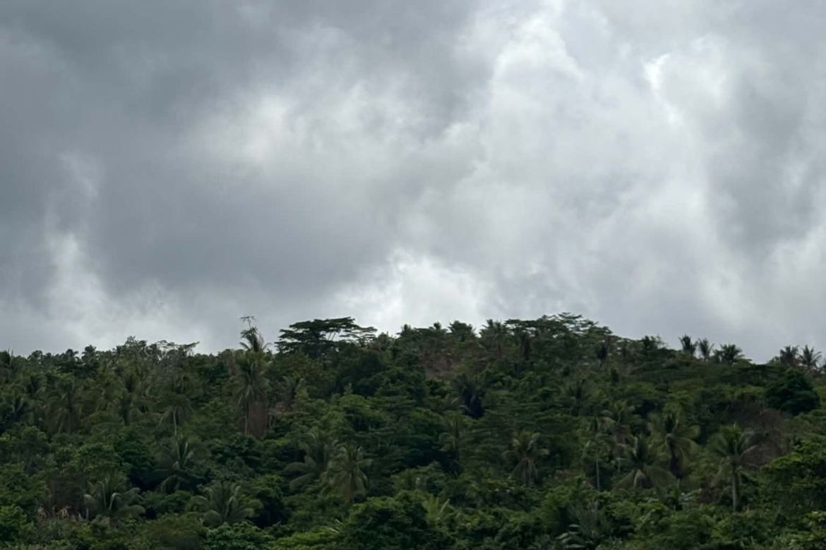 Land for Sale in Mat-I, Surigao City, Surigao del Norte – photo 8