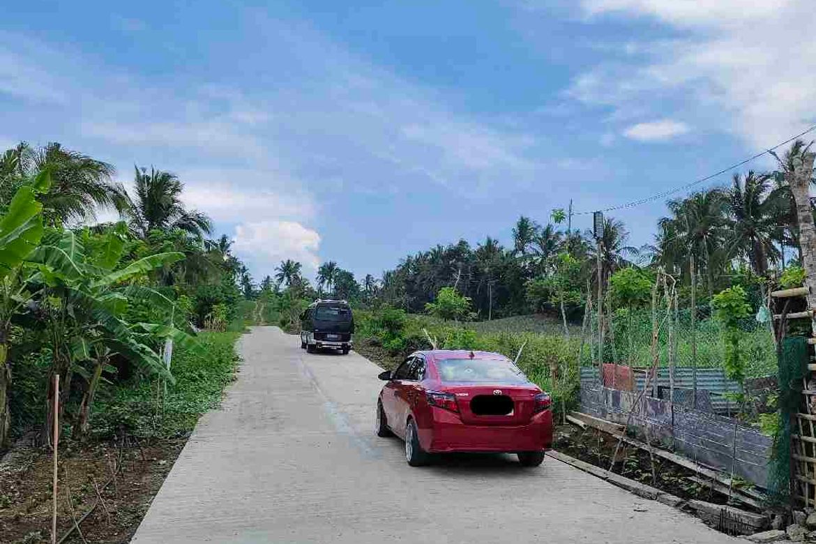 Land for Sale in Mataas Na Burol, Silang, Cavite