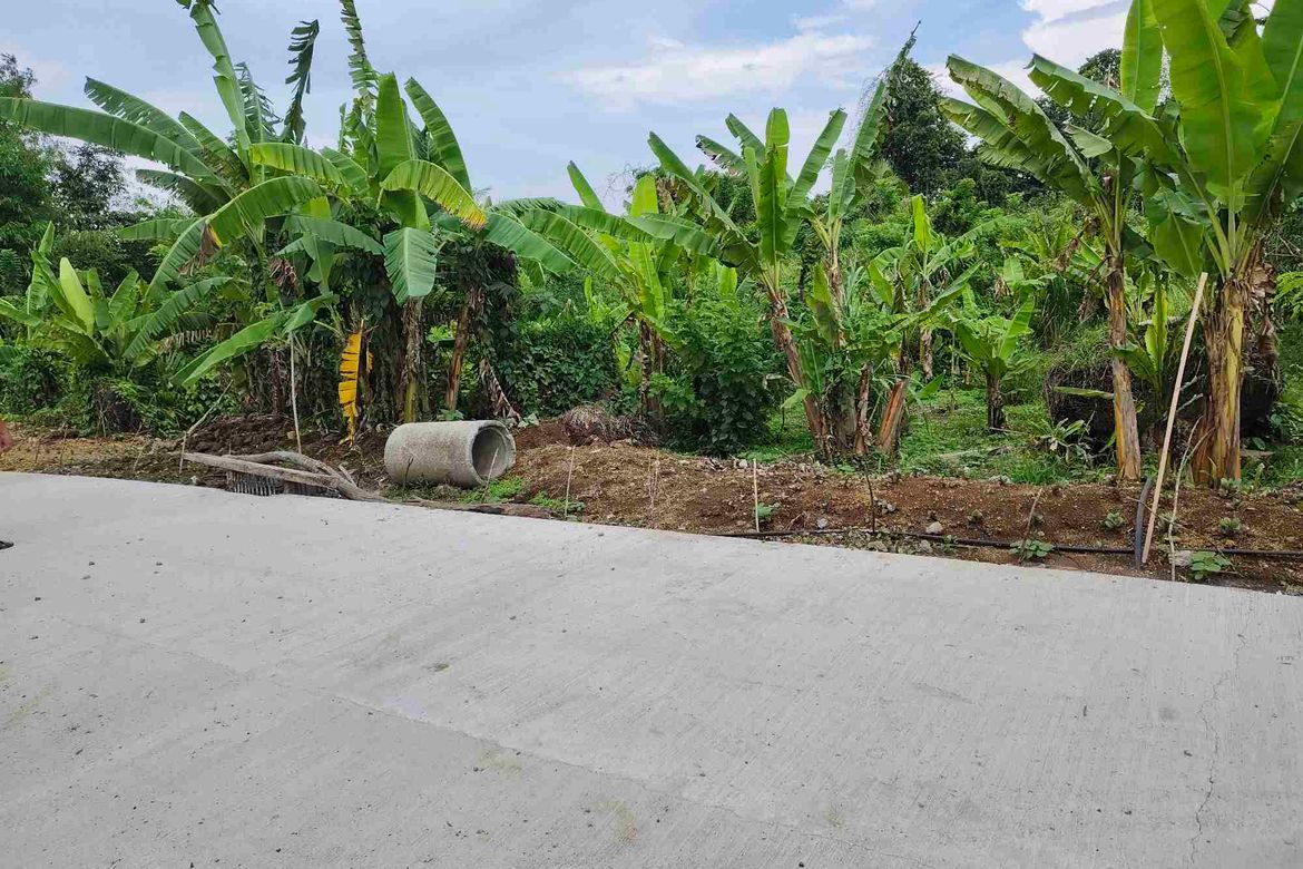 Land for Sale in Mataas Na Burol, Silang, Cavite – photo 2