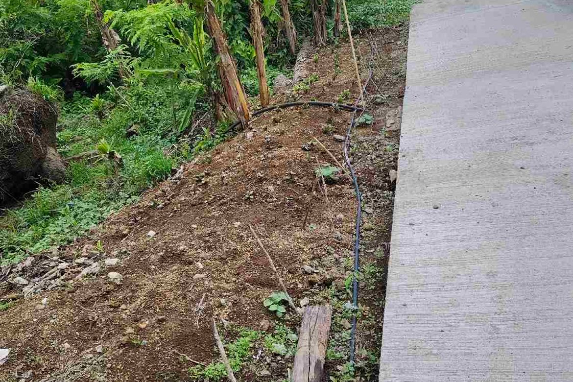 Land for Sale in Mataas Na Burol, Silang, Cavite – photo 3