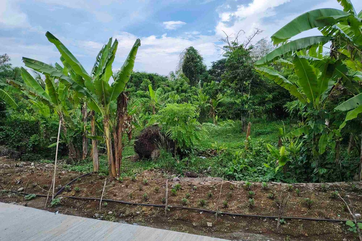 Land for Sale in Mataas Na Burol, Silang, Cavite – photo 4