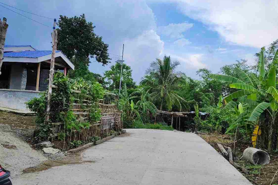 Land for Sale in Mataas Na Burol, Silang, Cavite – photo 5