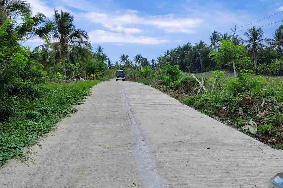 Land for Sale in Mataas Na Burol, Silang, Cavite – photo 6