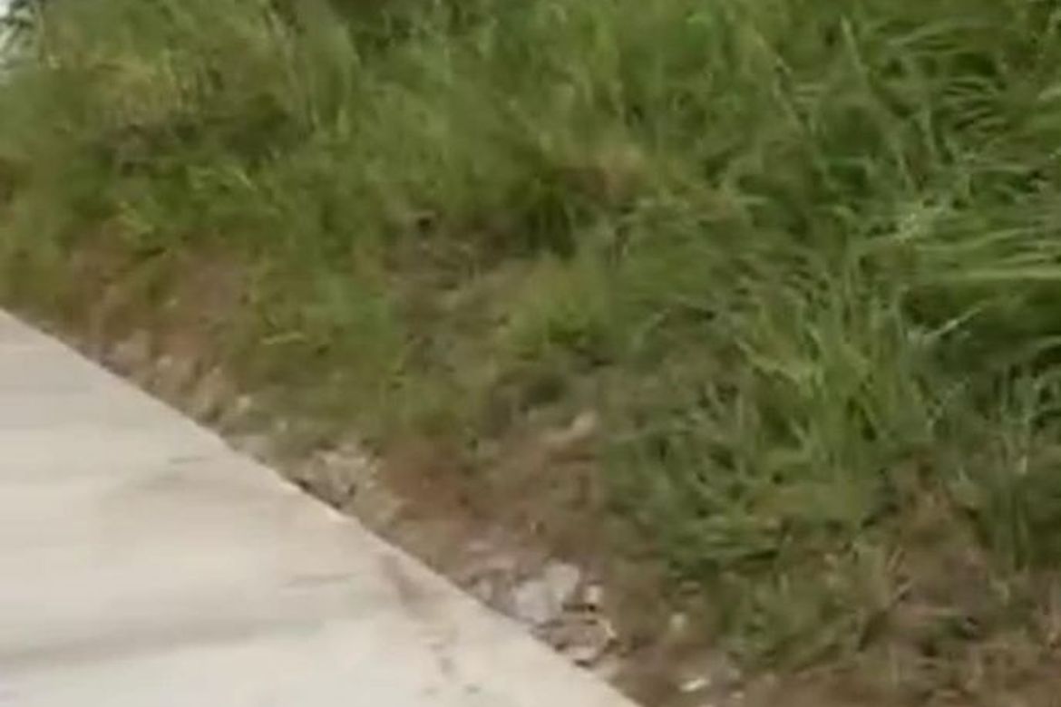 Land for Sale in Mataas Na Burol, Silang, Cavite – photo 2