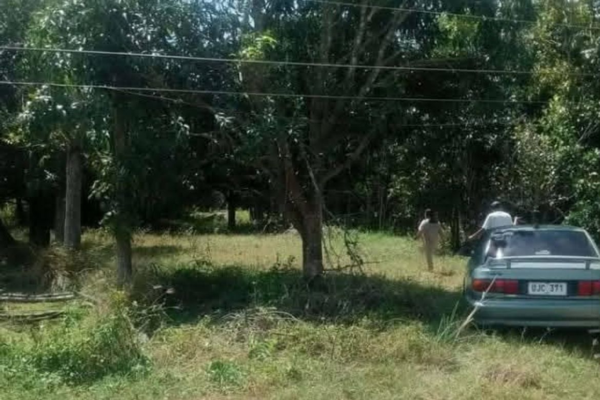 Land for Sale in Mataas Na Lupa, Taysan, Batangas – photo 4