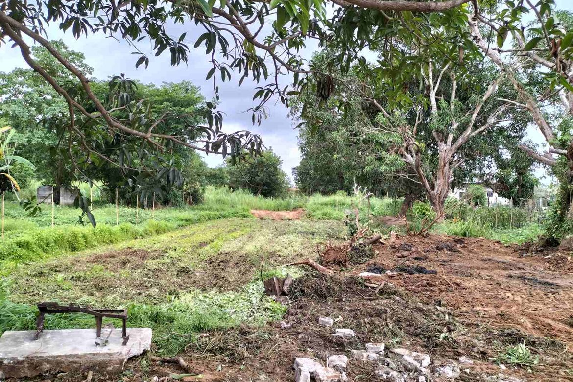 Land for Sale in Mataas Na Parang, San Ildefonso, Bulacan – photo 2