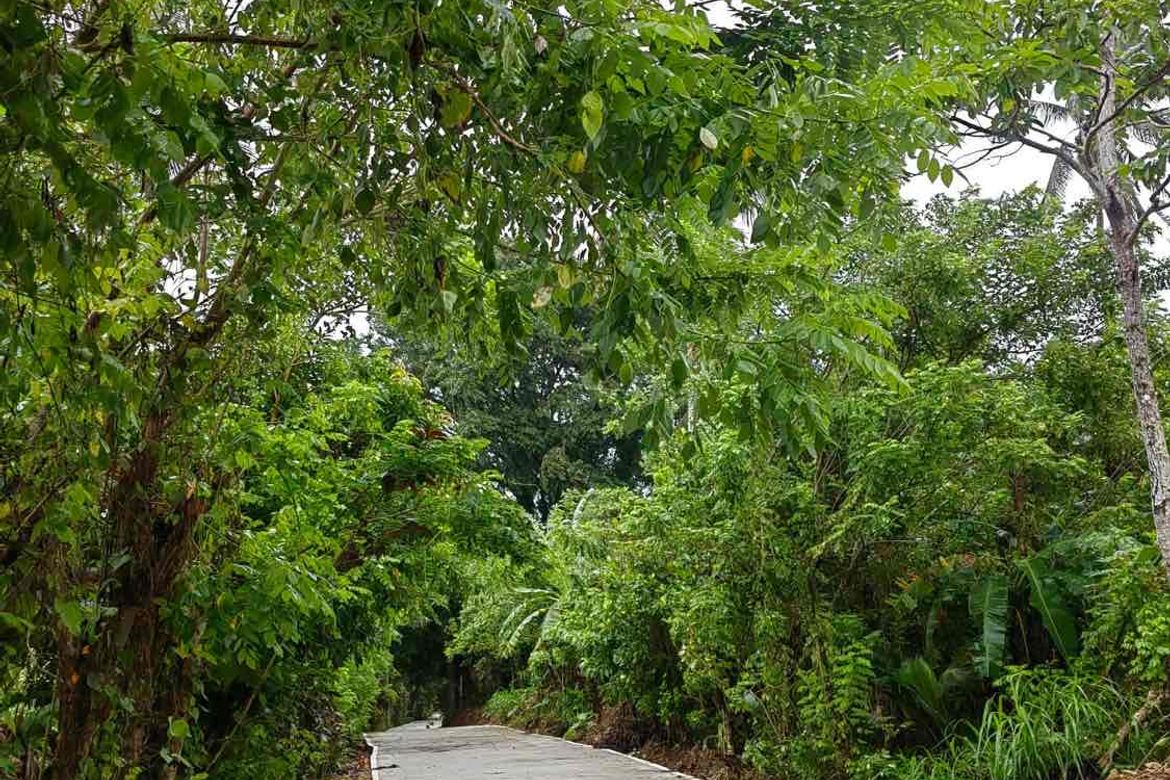 Land for Sale in Matagbak I, Alfonso, Cavite – photo 6