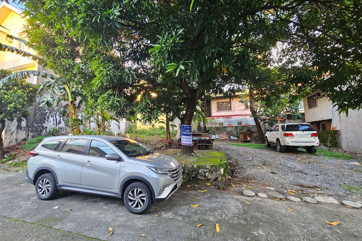 Land for Sale in Matandang Balara, Quezon City, Metro Manila – photo 2