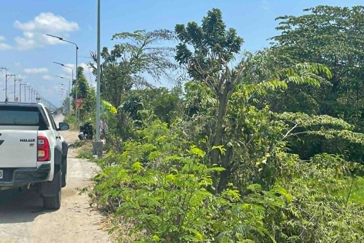 Land for Sale in Matangtubig, Baliuag, Bulacan – photo 4