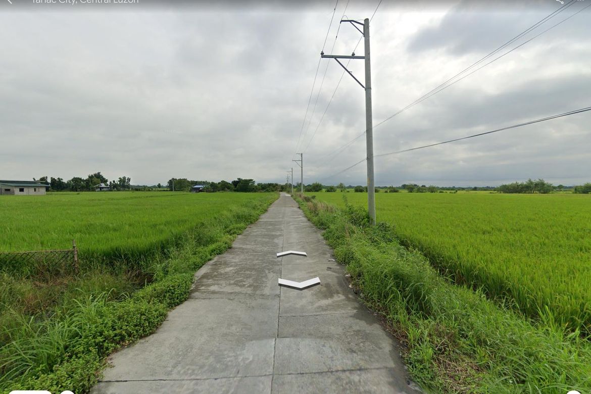 Land for Sale in Matatalaib, Tarlac, Tarlac – photo 3