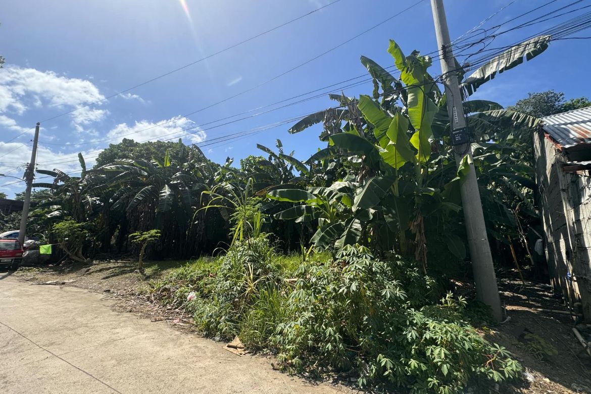 Land for Sale in Matina Pangi, Davao City, Davao del Sur – photo 2