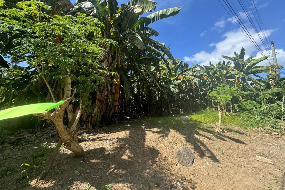 Land for Sale in Matina Pangi, Davao City, Davao del Sur – photo 5