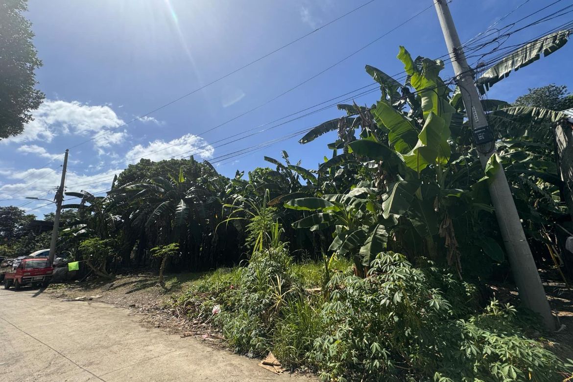 Land for Sale in Matina Pangi, Davao City, Davao del Sur – photo 8
