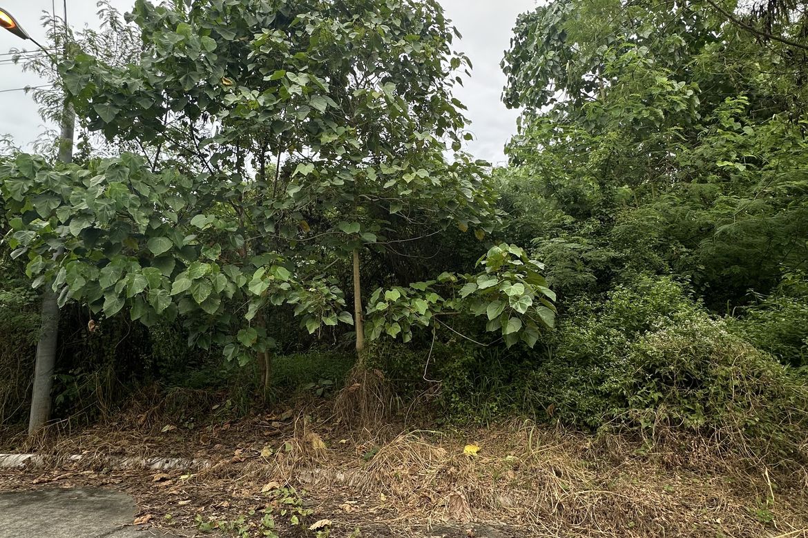 Land for Sale in Matina Pangi, Davao City, Davao del Sur – photo 8